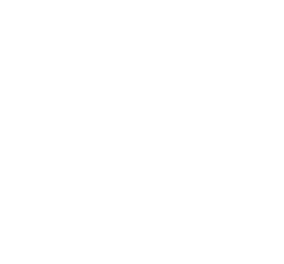 PRO’VALUES CONSULTING